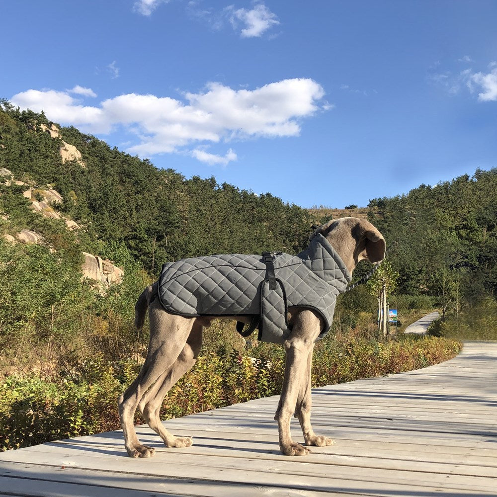 Unleash Adventure with Our Full Body Reflective Tactical Pet Jacket!
