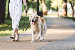 Enjoy More Comfortable Outdoor Walks
